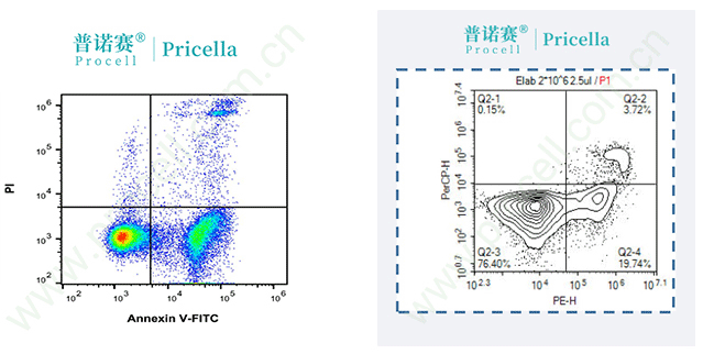 兩群細胞間隔較大，分群很明顯，1T當2T用