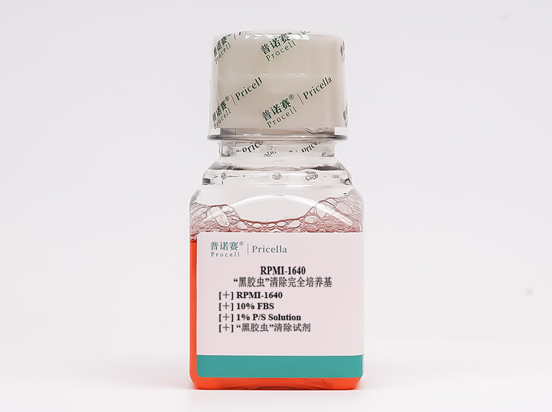 “黑膠蟲”清除完全培養(yǎng)基(RPMI-1640，含10%FBS)