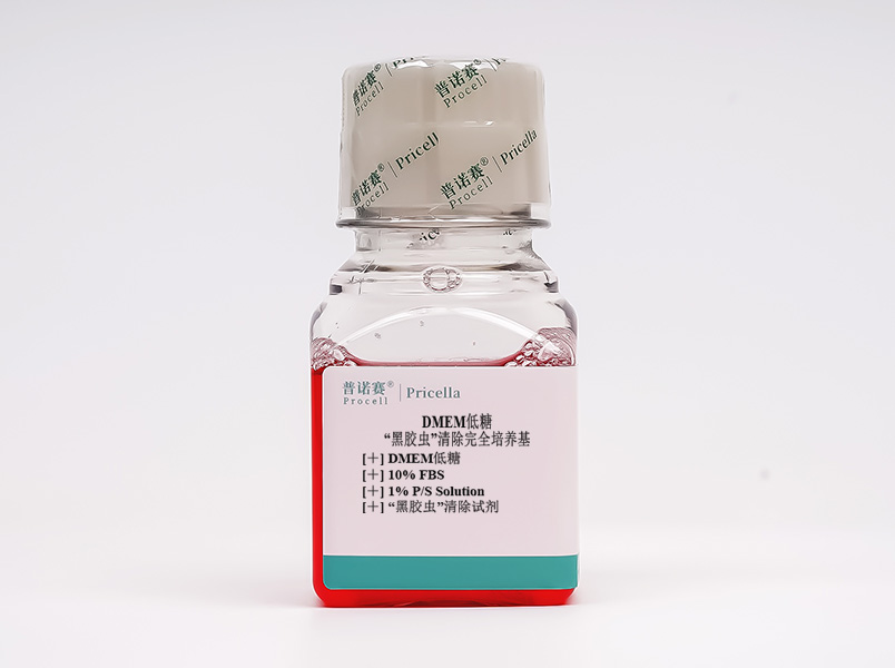 “黑膠蟲”清除完全培養(yǎng)基(DMEM低糖，含10%FBS)