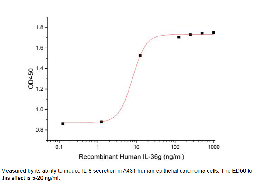 Procell-IL-36γ/ IL-1F9, Human, Recombinant