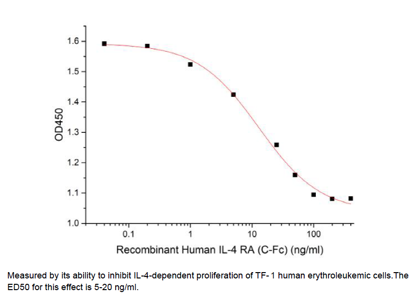 Procell-IL-4Rα/ CD124 (C-Fc), Human, Recombinant