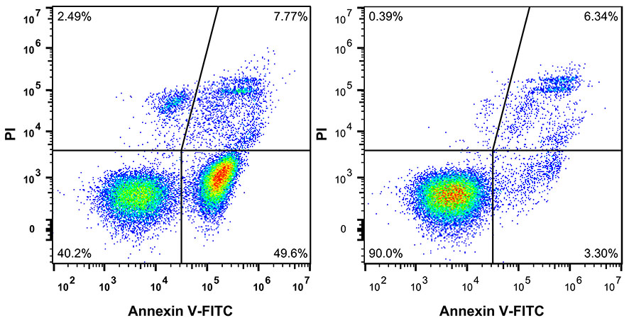 細胞用FITC-Annexin V / PI熒光雙染細胞凋亡檢測試劑盒檢測效果圖